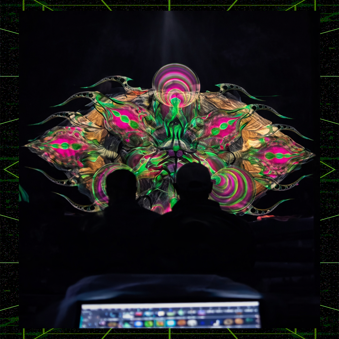 Psychedelic Experience